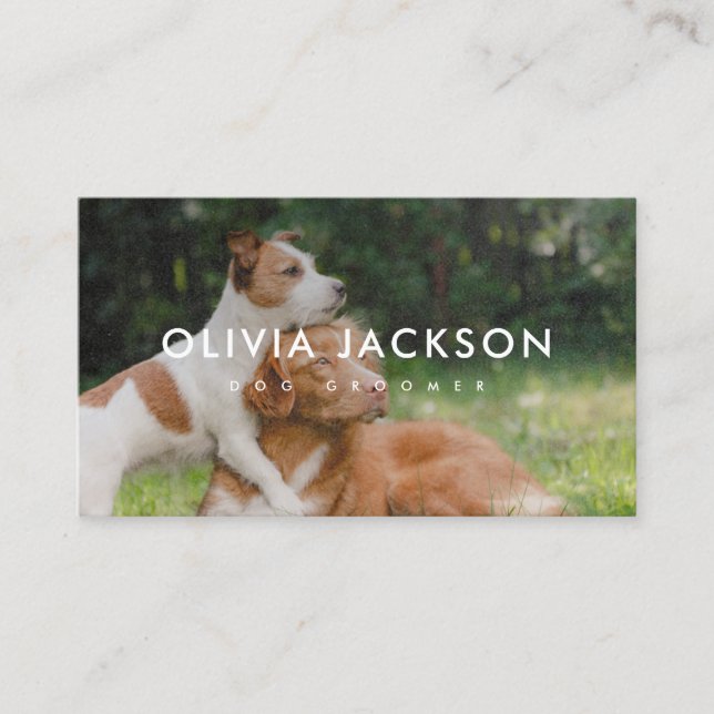 Bold Pet Groomer Business Card  (Front)