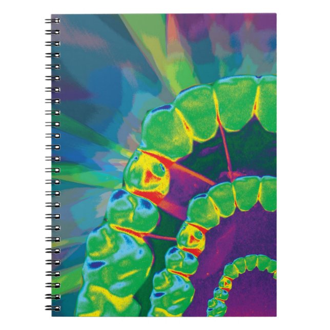 Bold rainbow coloured teeth model design notebook (Front)