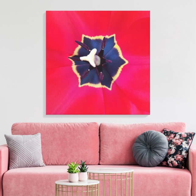 Bold Red Tulip Flower Macro Nature Photography Canvas Print (Insitu(LivingRoom))