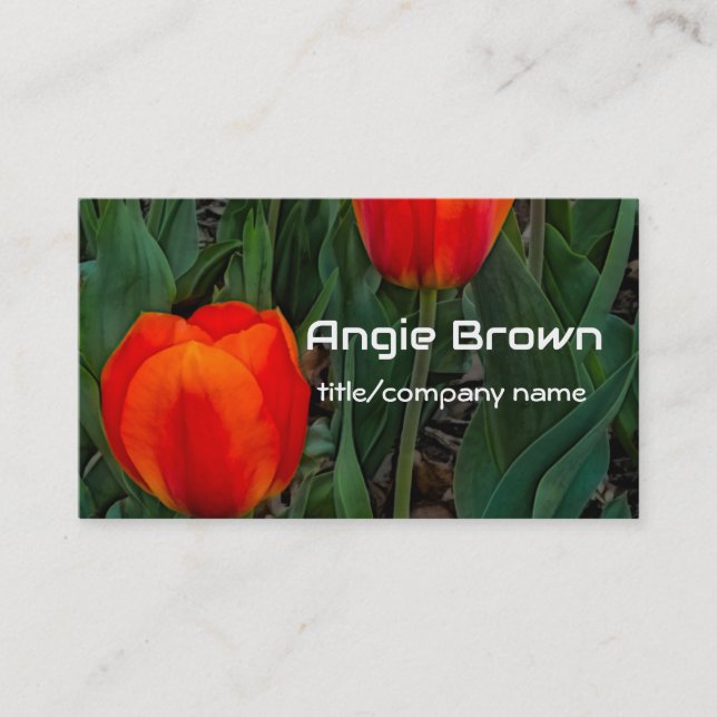 bold red tulips  flower photography nature  business card (Front)