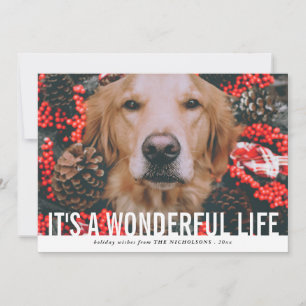 Bold Script Its A Wonderful Life   Holiday Photo Card