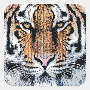 Bold Tiger Portrait Graphic Press Style Square Sticker