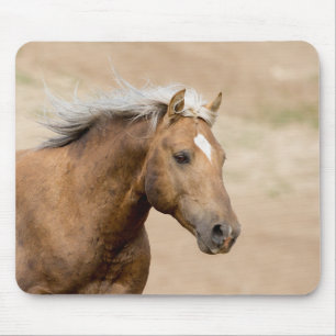 Bolder Runs Mounsepad from Save Wild Horses Mouse Mat