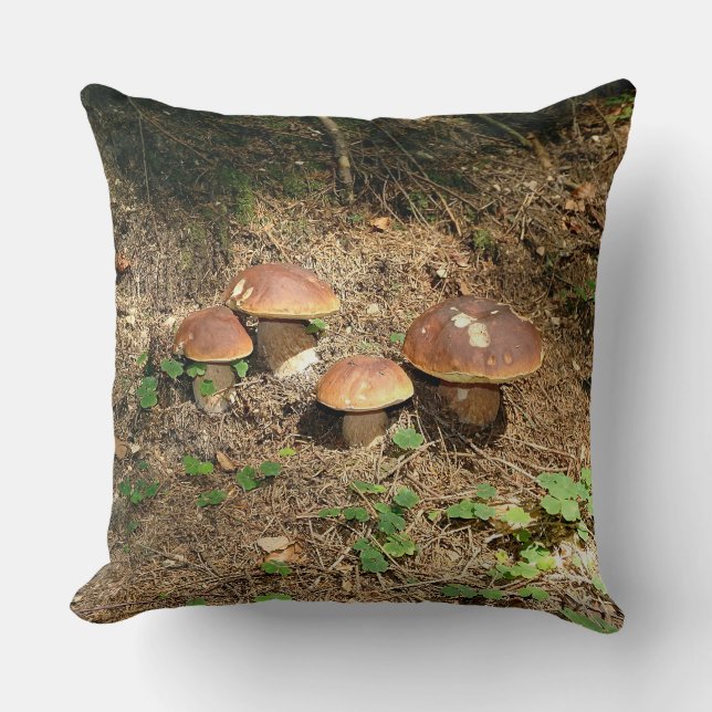 boletus cushion (Front)