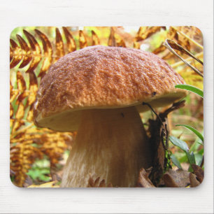 BOLETUS EDULIS MOUSE MAT