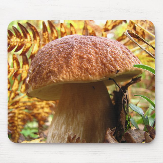 BOLETUS EDULIS MOUSE MAT (Front)