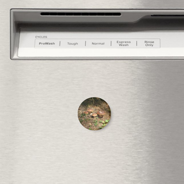 boletus magnet (In Situ (Dishwasher))