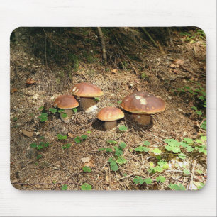 boletus mouse mat