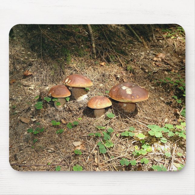 boletus mouse mat (Front)