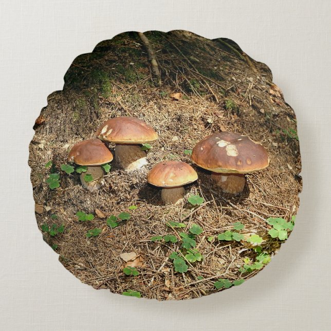 boletus round cushion (Front)