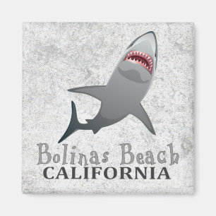 Bolinas Beach California shark magnet