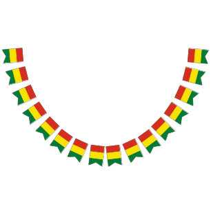 Bolivia flag bunting banner
