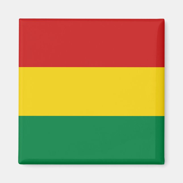 Bolivia Flag Magnet (Front)