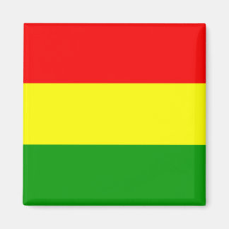 Bolivia Magnet