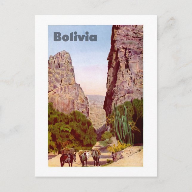 Bolivia Postcard (Front)