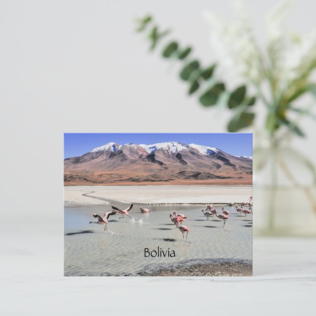 Bolivia scenic landscape postcard (Standing Front)