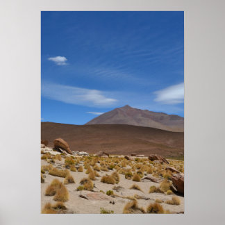 Bolivian Altiplano Desert Landscape Poster