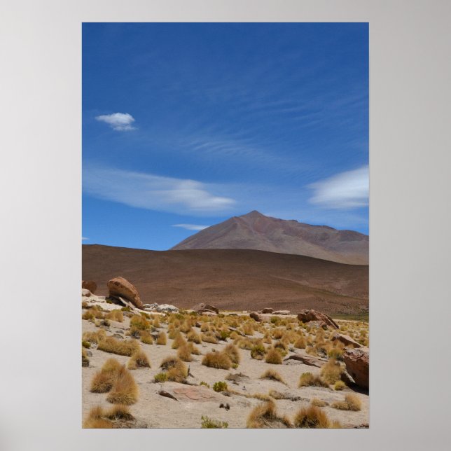 Bolivian Altiplano Desert Landscape Poster (Front)