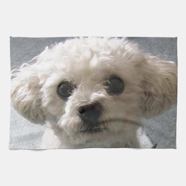 bolognese tea towel (Horizontal)