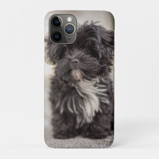 Bolonka Puppy iPhone 11 Pro Case