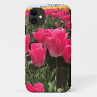 Bolray Price Tulips, Oregon