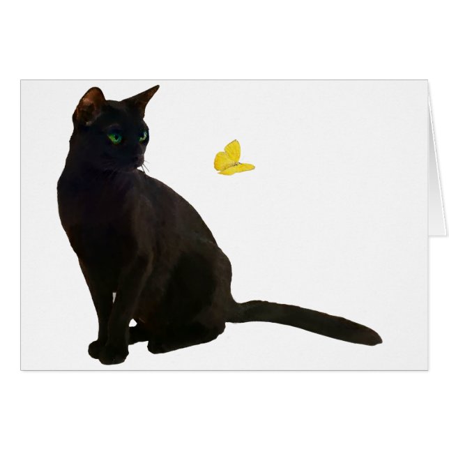 Bombay Cat & Butterfly (Front Horizontal)