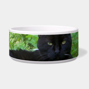 Bombay Cat Lying in Clover Food Bowl