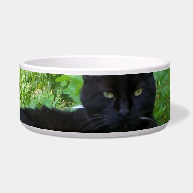 Bombay Cat Lying in Clover Food Bowl (Front)