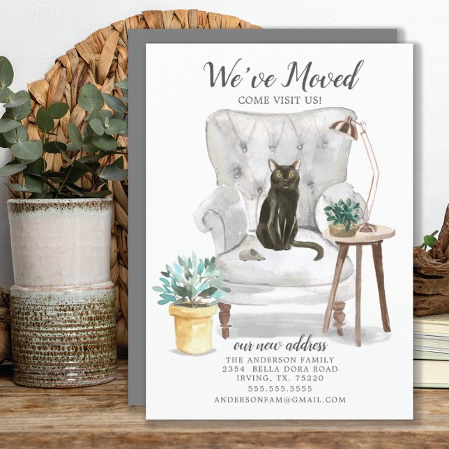 Bombay Cat Moving Announcement (Creator Uploaded)