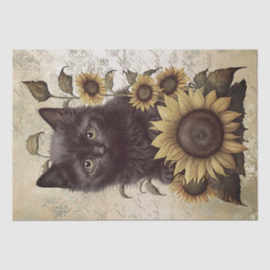 Bombay Kitten Sunflower Cat Tissue Paper