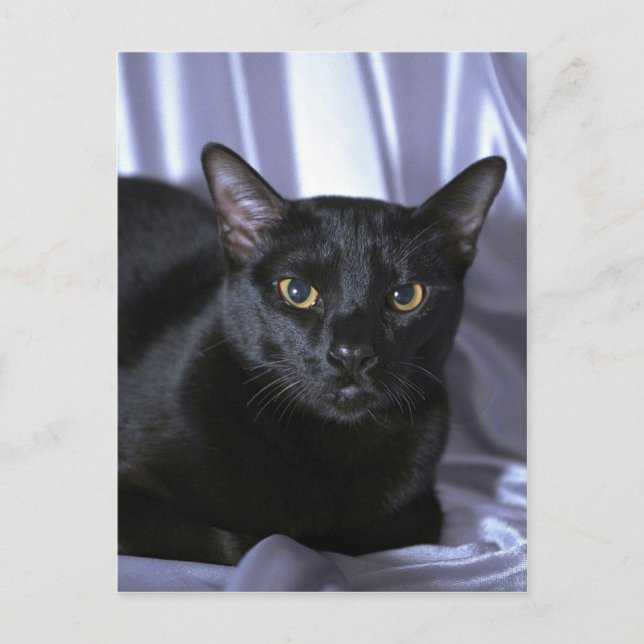 Bombay Postcard (Front)