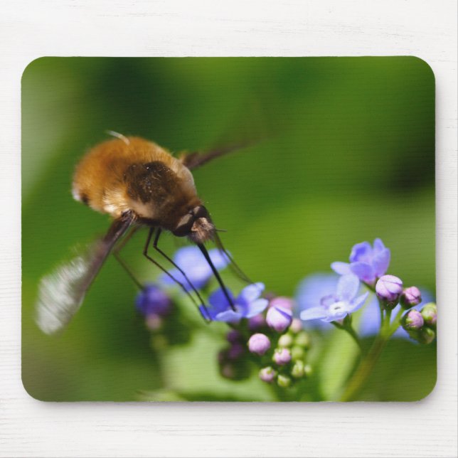 Bombylius major mouse mat (Front)