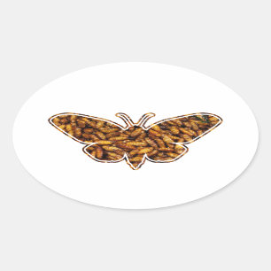 Bombyx Mori Silk Moth Life Cycle Silhouette Oval Sticker