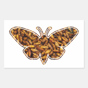 Bombyx Mori Silk Moth Life Cycle Silhouette Rectangular Sticker