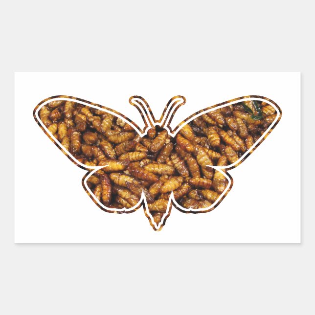 Bombyx Mori Silk Moth Life Cycle Silhouette Rectangular Sticker (Front)