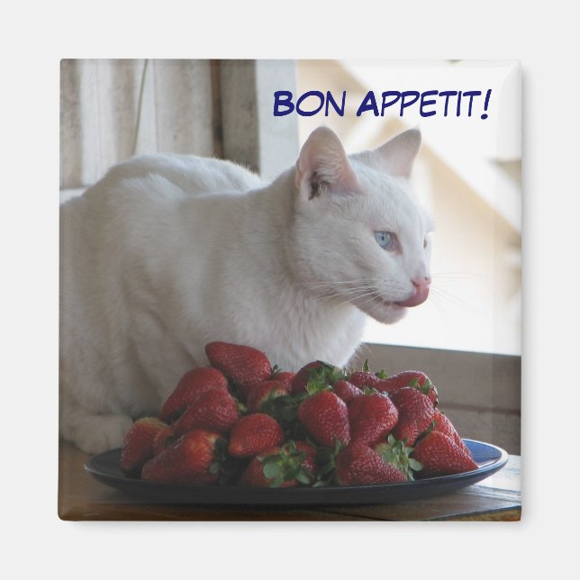 Bon Appetit Magnet! Magnet (Front)