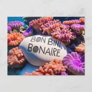 Bon bini bonaire postcard