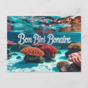 Bon bini bonaire postcard