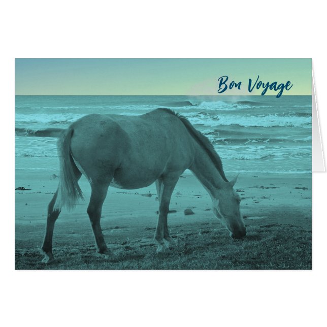 Bon Voyage Horse Near Lake Michigan (Front Horizontal)