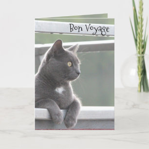 Bon Voyage Safe Travels Card