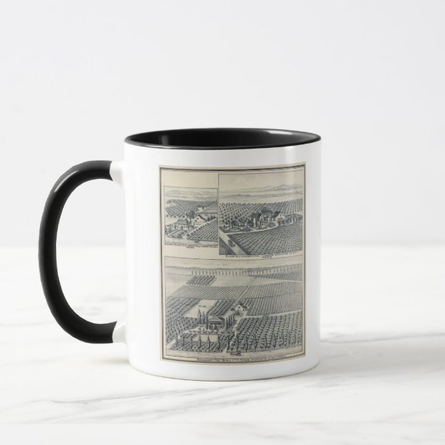 Bonacourt Ranch, Washington Colony, California Mug (Left)