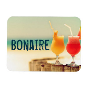 Bonaire cocktails magnet