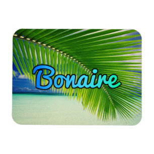 Bonaire Magnet