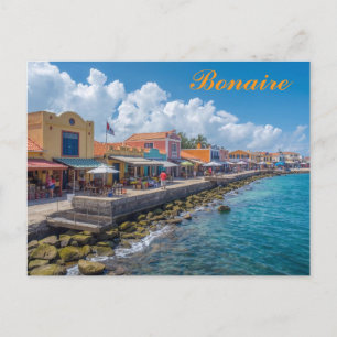 Bonaire Postcard