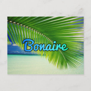 Bonaire Postcard