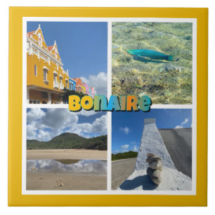 Bonaire Scenic Photo Collage Tile
