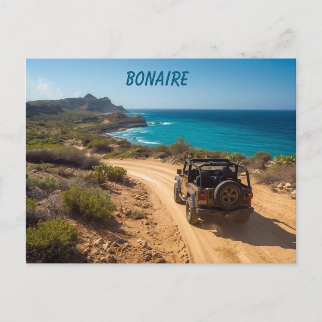 Bonaire slagbaai  park postcard (Front)
