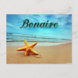 Bonaire starfish postcard