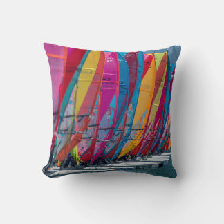 Bonaire wind surfers poster cushion