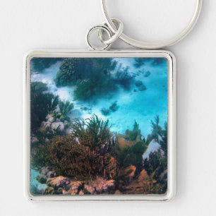 Bonairean Reef Key Ring